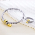 Zweifarbiges Kabel-Schmuckset mit offenem Armreif und verstellbarem Ring im Luxusstil - Gold- und Silber-Zweiton-Set (Armband + Ring)