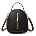 Borsa a secchiello patchwork nera e marrone in pelle testurizzata con cerniera dorata - Nero