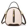 Chic cream and dark brown bucket bag with lychee texture leather and gold hardware - Off White