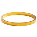 Polierter, minimalistischer 18K vergoldeter Titanstahl-Armreif mit Scharnierverschluss - Glänzender Flacher Stil (sztx238) / Gold