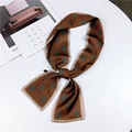 Brown long twilly scarf with teal buckle and polka dot pattern on a white background - Brown Buckle (21)