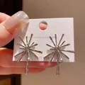 Einzigartige silberne Feuerwerk-Ohrringe mit radialem Design und S925-Silberstift - Silber