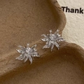 Macro shot of vintage silver flower earrings with zircon petals on textured paper - Silver