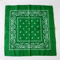 Bandana quadrata in cotone verde smeraldo con classici motivi paisley bianchi - Verde Bambù