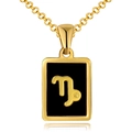 18K gold plated stainless steel Capricorn constellation necklace with black pendant - Black Shell - Capricorn