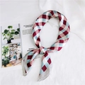 Detail of red and blue checkered silk scarf tied on a white fabric background - 70cm / Red Checkered