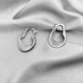 Orecchini a cerchio in argento con texture a corda intrecciata e design metallico elegante - Argento(A218)