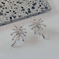 Vista macro de pendientes plateados con forma de fuegos artificiales sobre piedra - Plata (G312)