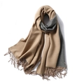 Minimalist winter scarf in dual-sided camel and dark grey with elegant tassel fringe - 200x65cm / Camel And Gray (WT350-15)