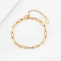 Dettaglio del bracciale a maglie graffetta in acciaio inossidabile placcato oro 18K con ciondolo - Larghezza 4.5MM*19CM+5CM / Oro 18K
