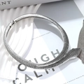 Macro detail of silver snake collar necklace with realistic scale texture and hinge - Antique Silver