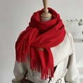 Detail of red knit scarf featuring leather brand tag and stylish tassel edges - Red