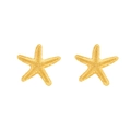 Minimalistische gouden zeester oorbellen van legering met textuur voor de vakantie - Goud
