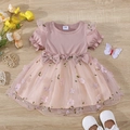 Detailaufnahme rosa Baby-Mädchenkleid mit Tüllrock, Blumenstickerei und Schleifen - Rosa Kurzarm Top / 80cm