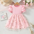 Rosa Langarm-Kleid für Kleinkinder mit Blumenstickerei und Lagen aus Tüll-Mesh - Rosa / 120cm