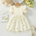 Elegant cream white baby girl dress featuring ribbed long sleeves and floral mesh skirt - Apricot