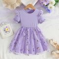 Short sleeve light purple girls mesh princess dress with floral embroidery and ruffle trim - Purple