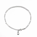 Cavigliera in acciaio inossidabile argento con ciondolo tondo in zirconia cubica su bianco - Catena Figaro con ciondolo in zircone rotondo / Color Acciaio