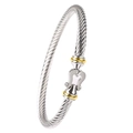 Dettaglio del bracciale a cavo ritorto argento con accenti oro e fibbia a ferro - Oro e Argento