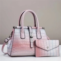 Conjunto de bolsos con degradado rosa y blanco con relieve de cocodrilo y sobre a juego - Rosa