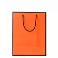Elegant orange gift bag with black trim and woven handles for Mother's Day packaging - Single Orange Gift Bag