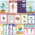 Set of 18 waterproof biology educational posters covering human anatomy and cell structures - Biology Science Style (ER04)