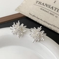 Dettaglio macro di orecchini a forma di fuoco d'artificio in argento con zirconi - Stile Fuochi d'Artificio Irregolare in Zirconia Pavé (A-1274)
