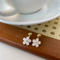 Detailed close-up of shell petal flower earrings with elegant gold-plated metal core - White Flower Studs