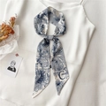 Élégante écharpe fine en soie blanche avec imprimé céleste bleu sur un haut blanc - Ciel Étoilé Bleu Blanc Lettre C (LK32-C)