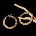 Primer plano de pendientes de aro dorados con pavé de diamantes sobre fondo de rama natural - Grande / Oro con Circonitas Completas