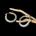 Détail de créoles argentées serties de strass brillants sur une branche en bois - Moyen / Argent Entièrement Pavé de Zircone