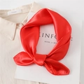 Detail of red satin silk scarf tied in a bow on a beige shirt with high glossy texture - Red
