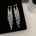 Macro shot of long silver tassel earrings with heart pendants on a black velvet stand - Silver Long Tassel (Gold Stud)