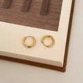 Dettaglio di orecchini a cerchio placcati oro 18k con finitura lucida su un libro - Oro