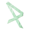 Elegante sciarpa sottile in raso verde menta con finitura lucida per capelli e borse - 100*4cm / Verde Chiaro (SC-24)