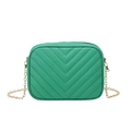 Green chevron quilted small camera bag with gold chain strap in artificial leather - Green