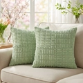 Lot de 2 housses de coussin en velours côtelé vert clair avec rayures texturées - Taie d'Oreiller Seule (Sans Insert) / Vert Printemps