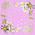Pink daisy floral silk scarf 90x90cm square wrap with white and yellow flowers - Pink