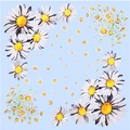Close-up of light blue silk square scarf featuring realistic white and yellow daisy prints - Sky Blue