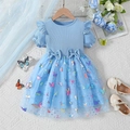 Light blue girls' dress set with mesh tutu skirt, butterfly prints and matching shoes - 110cm / Blue