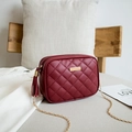 Red quilted square shoulder bag with gold chain strap and tassel charm detail - Red