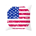 Detail of square peach skin pillowcase featuring a vintage American flag circle design - White Vintage Distressed Round Flag (TPR178-5) / 45x45cm