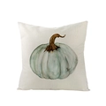 Teal watercolor pumpkin pillow cover in textured linen fabric for Thanksgiving decor - Watercolor Light Blue Pumpkin (JYM057-4)