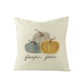 Square polyester pillow cover with Pumpkin Patch print and autumn pumpkin design - 45x45cm (No Insert) / Pumpkin Patch Text Pumpkin (JYM057-10)