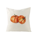 Fall watercolor pumpkin print throw pillow case on textured beige fabric material - 45x45cm (No Insert) / Watercolor Double Orange Pumpkins (JYM057-12)