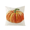 Square beige pillowcase with vibrant orange watercolor pumpkin for autumn decoration - 45x45cm (No Insert) / Single Large Orange Pumpkin (JYM057-13)
