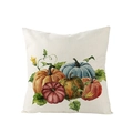 Square fall pumpkin pillow cover with watercolor harvest pumpkins on linen texture - 45x45cm (No Insert) / Colorful Pumpkin Vine (JYM057-16)