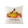 Thanksgiving pumpkin and bird pillowcase with Happy Thanksgiving text on beige linen - 45x45cm (No Insert) / Happy Thanksgiving Sunflower (JYM057-17)