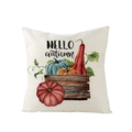 Square beige pillowcase with watercolor autumn pumpkins and Hello Autumn text design - 45x45cm (No Insert) / Hello Autumn Wood Crate (JYM057-22)