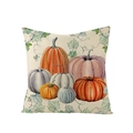 Square polyester pillow cover featuring autumn pumpkins with green vines on white background - 45x45cm (No Insert) / Watercolor Multi Color Pumpkin (JYM057-35)